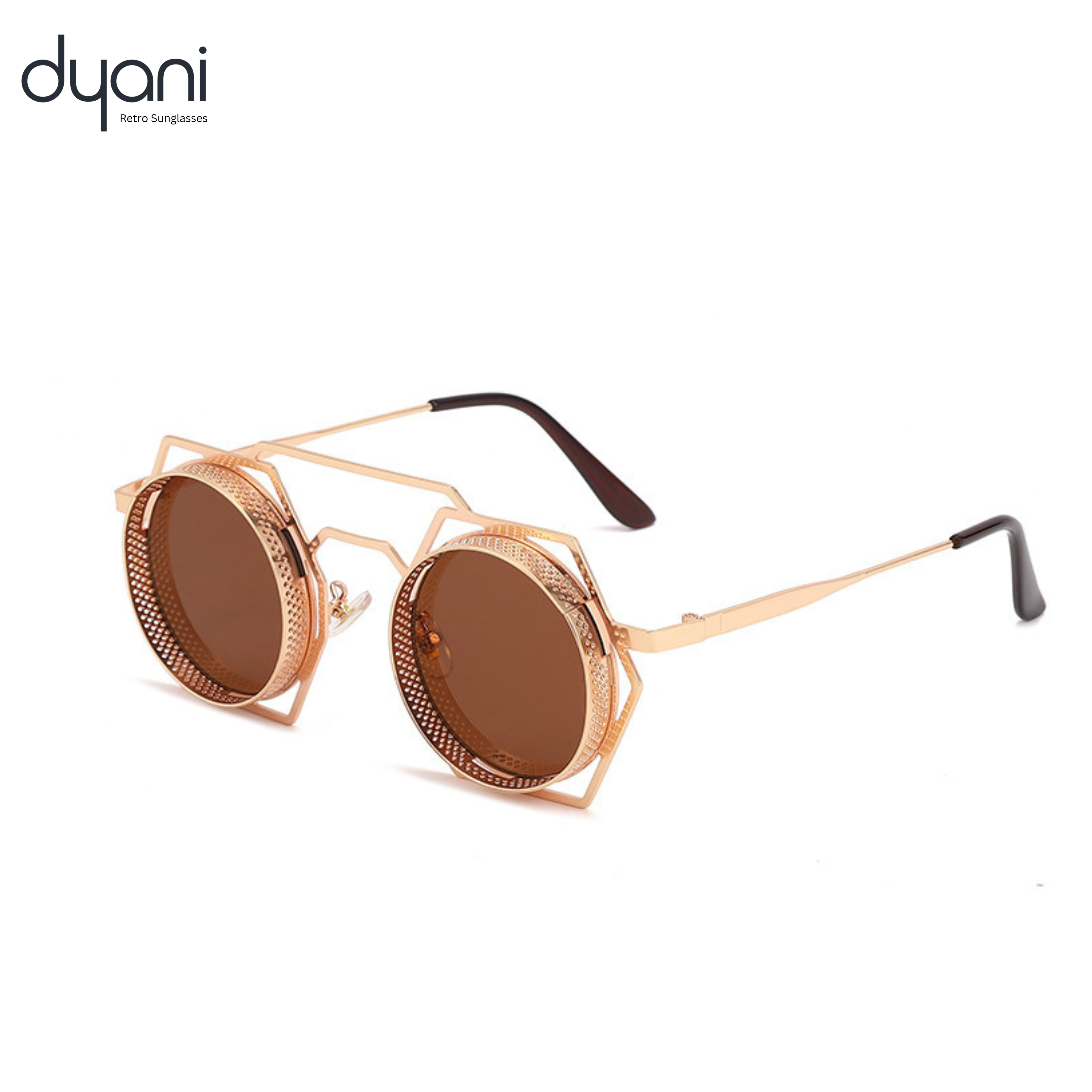 Dyani RoundSix hexagonal sunglasses with durable acetate and metal frame, features brown lenses and unique geometric design.