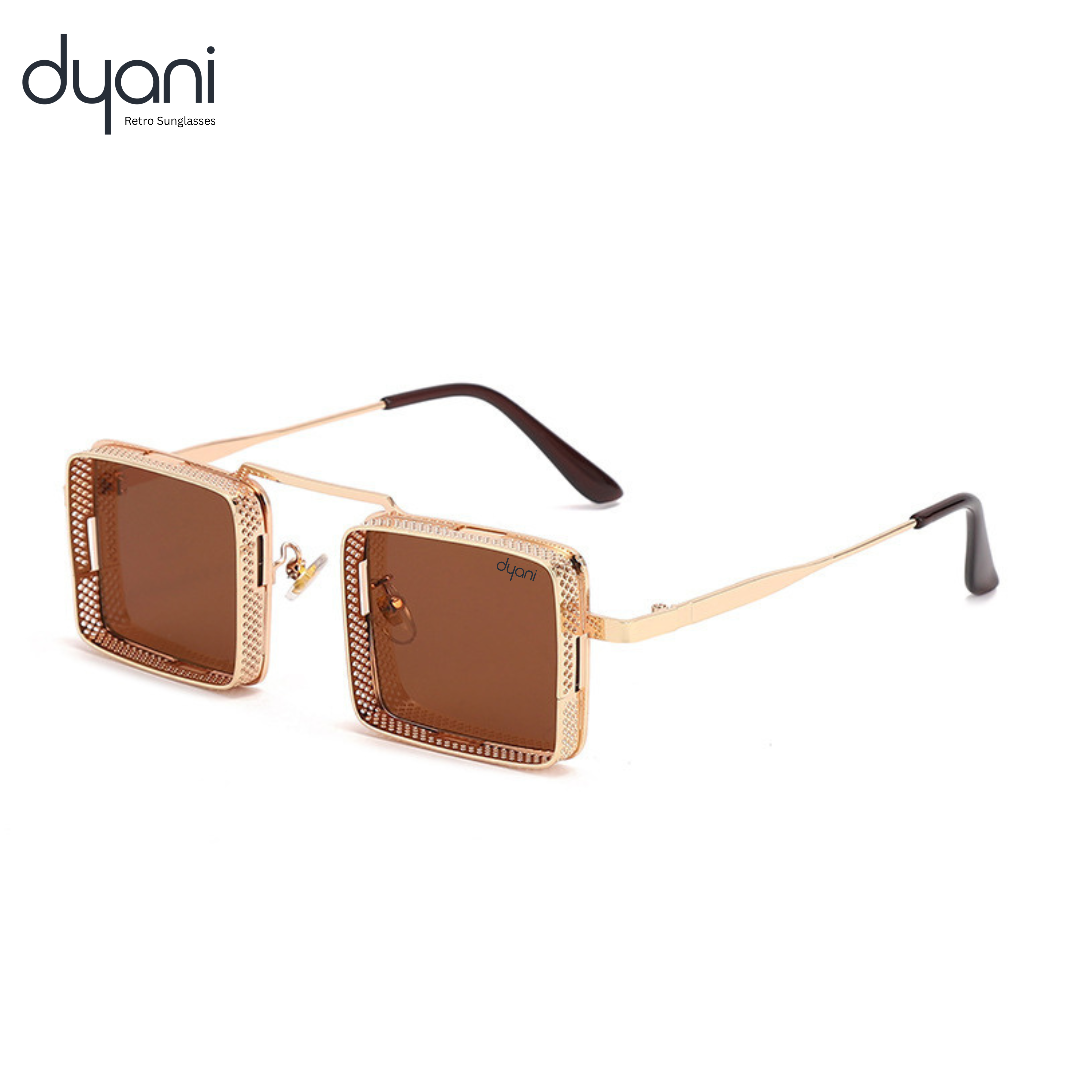 Dyani Square Punk sunglasses with aluminum frame and UV400 protection, featuring anti-reflective, photochromic lenses for steampunk style.